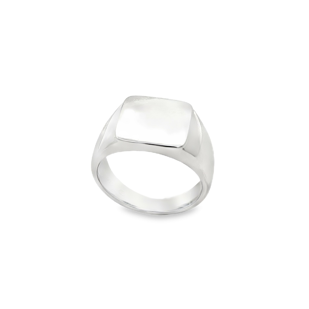 Stříbrný pánský prsten